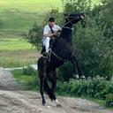 Photo Alisher  A.