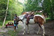 Preparing for a ride 