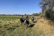 Mexico Horse Riding