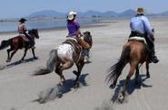 Mexico Horse Riding