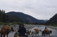 Crossing the river 