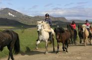 Iceland Horse Riding