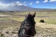 Ecuador Riding