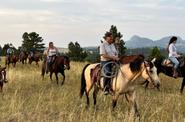 Riders in a field 