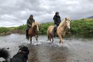 Iceland Horse Riding