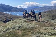 Greenland Horse Riding