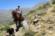 Andalusia Horse Riding