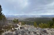 Exploring Yukon