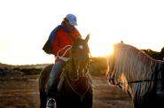 Rider in the field 