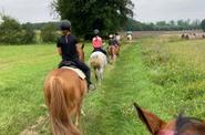 Group horse riding