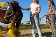 Portugal Horsetherapy