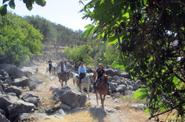 Andalusia Horse Riding