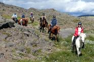 Iceland Horse Riding