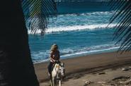 Beach ride 