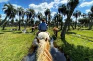 Uruguay Horse Riding