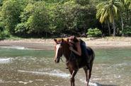 Beach ride 