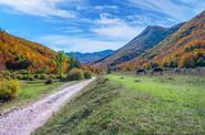 Abruzzo Hational Park