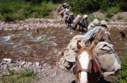 Crossing the river 