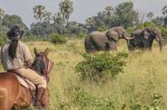 Botswana Riding Safari