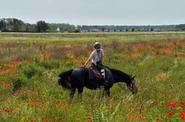 Horse riding