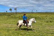 Uruguay Horse Riding