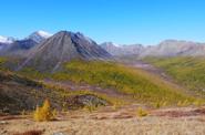 Mongolia Nature