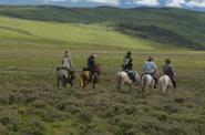 China Horse Riding