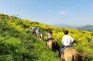 Ride in a field