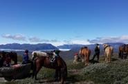 Greenland Horse Riding