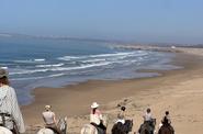 Essaouira horse riding