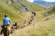 Horse riding trail in Europe