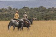 Kenya Riding