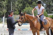 Portugal Riding Lessons