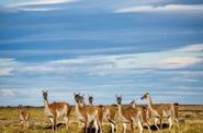 Patagonia Trekking