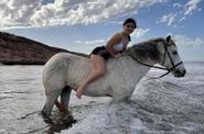 Swimming with horses 