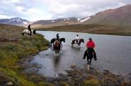 Iceland Horse Riding