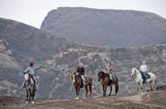 Azores Riding