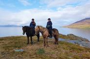 Iceland Horse Riding