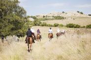 Uruguay Horse Riding