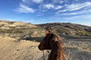 Caucasus Riding