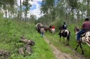 Riders exploring wildlife 