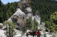 USA Horse Trekking