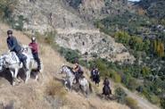 Andalusia Horse Riding