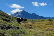 Yukon mountains 