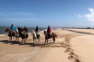 Uruguay Horse Riding