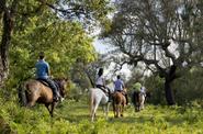 Portugal Riding