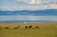 Kyrgyzstan Riding