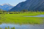 Yukon landscape 