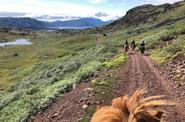 Greenland Horse Riding