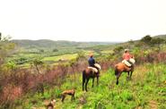 Uruguay Horse Riding